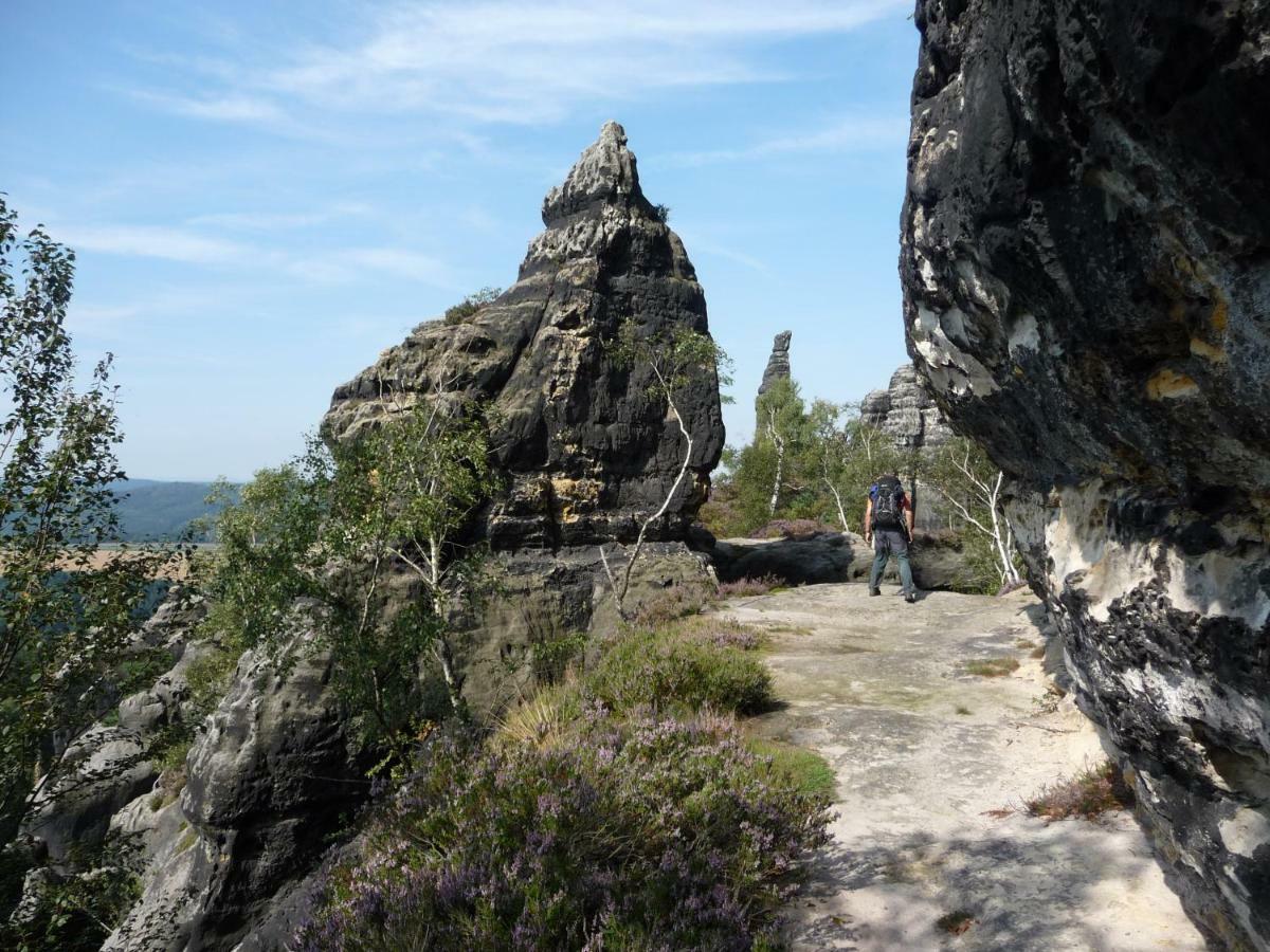 Pension Am Weinberg Saechsische Schweiz Mittelndorf エクステリア 写真