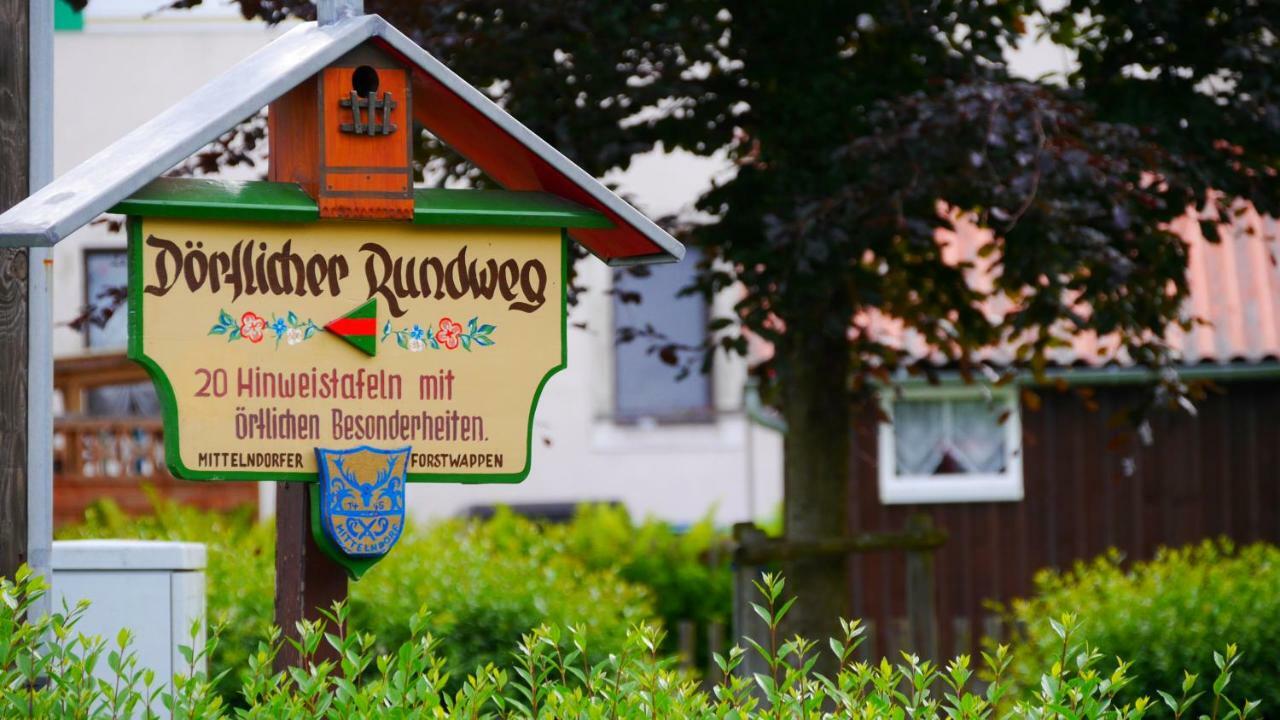 Pension Am Weinberg Saechsische Schweiz Mittelndorf エクステリア 写真