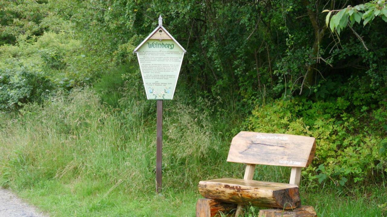 Pension Am Weinberg Saechsische Schweiz Mittelndorf エクステリア 写真